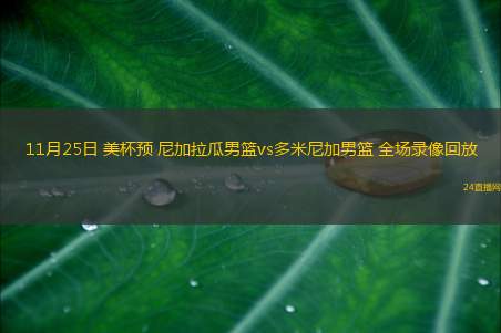 11月25日 美杯預(yù) 尼加拉瓜男籃vs多米尼加男籃 全場(chǎng)錄像回放