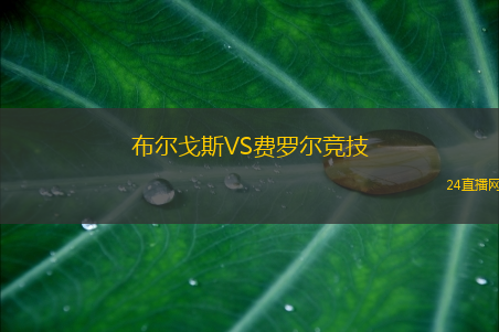 布爾戈斯VS費(fèi)羅爾競技