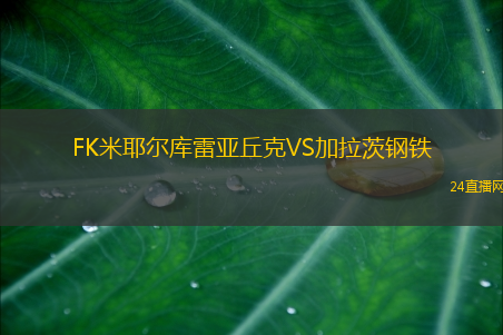 FK米耶爾庫雷亞丘克VS加拉茨鋼鐵