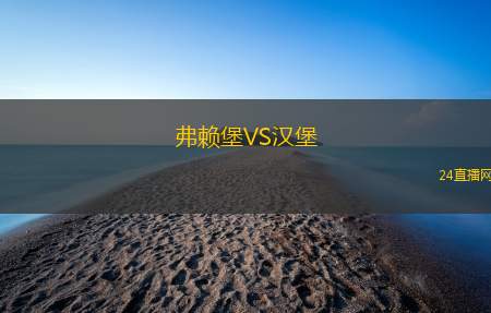 弗賴堡VS漢堡