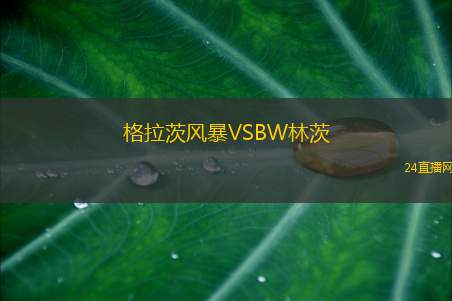 格拉茨風暴VSBW林茨