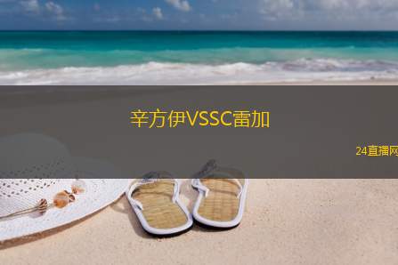 辛方伊VSSC雷加