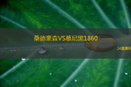 桑德豪森VS慕尼黑1860