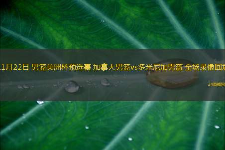 11月22日 男籃美洲杯預(yù)選賽 加拿大男籃vs多米尼加男籃 全場(chǎng)錄像回放