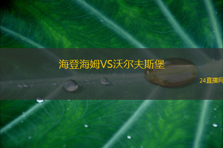 海登海姆VS沃爾夫斯堡