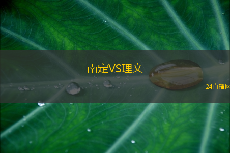 南定VS理文