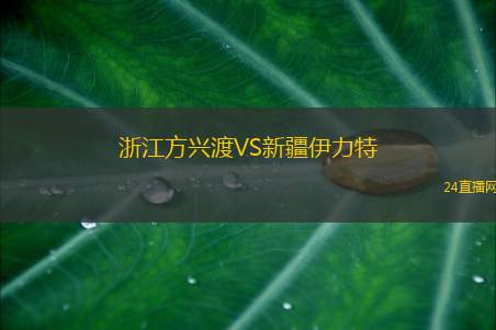 浙江方興渡VS新疆伊力特