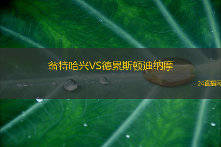 翁特哈興VS德累斯頓迪納摩