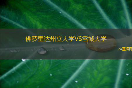 佛羅里達州立大學(xué)VS雪城大學(xué)